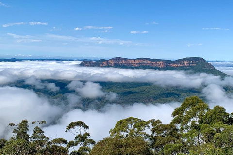 Small-Group Blue Mountains Tour With A Local Guide - Local Tourism 4