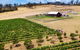Tasmanian Wine Tour - thumb 3