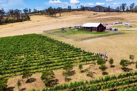 Tasmanian Wine Tour - Accommodation Australia 3