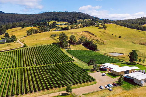 Tasmanian Wine Tour - Accommodation Australia 4