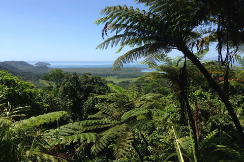 Daintree And Cape Tribulation Full Day Guided Tour - Local Tourism 2