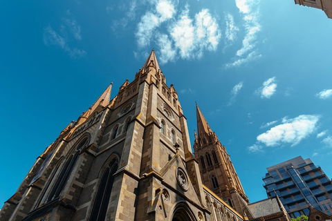 Highlights & Hidden Gems With Locals: Best Of Melbourne Private Tour - Local Tourism 4