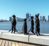 Perth by Bike Private Tour with a Local - Local Tourism