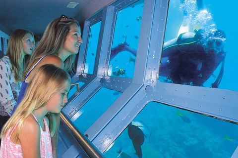 Quicksilver Outer Great Barrier Reef Snorkel Cruise From Port Douglas - Local Tourism 1