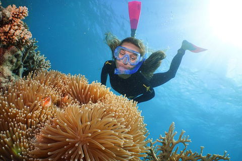 Quicksilver Outer Great Barrier Reef Snorkel Cruise From Port Douglas - Local Tourism 2