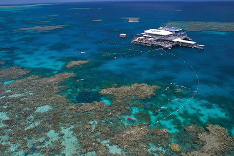 Quicksilver Outer Great Barrier Reef Snorkel Cruise From Port Douglas - Local Tourism 3