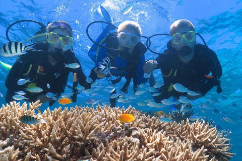 Quicksilver Outer Great Barrier Reef Snorkel Cruise From Port Douglas - Local Tourism 4