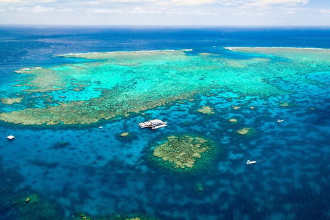 Quicksilver Outer Great Barrier Reef Snorkel Cruise From Port Douglas - Local Tourism 5