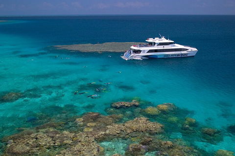 Silversonic Outer Great Barrier Reef Dive And Snorkel Cruise From Port Douglas - Local Tourism 2