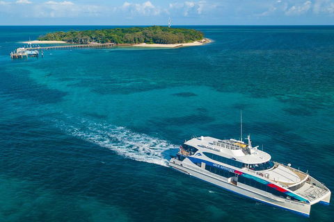 Ultimate 3-Day Great Barrier Reef Cruise Pass - Bed n Breakfasts 4