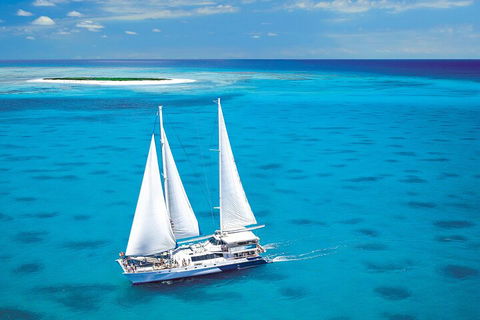 Ultimate 3-Day Great Barrier Reef Cruise Pass - Bed n Breakfasts 5