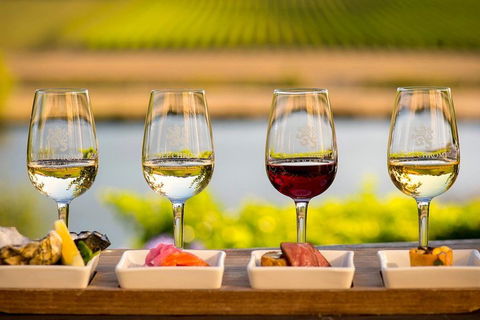 West Tamar Wine Tour - Accommodation Australia 1
