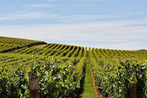 West Tamar Wine Tour - Accommodation Australia 2