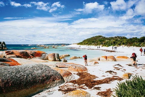 Wineglass Bay Private Charter Service - Accommodation Australia 3