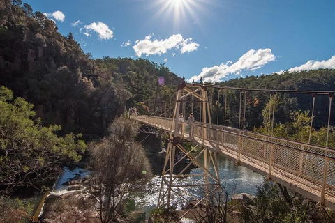 Launceston Private Charter Service - Accommodation Australia 5