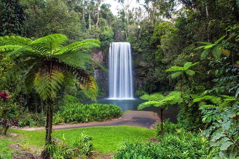 Cairns & Port Douglas All-Inclusive 7 Days Touring Package - Local Tourism 2