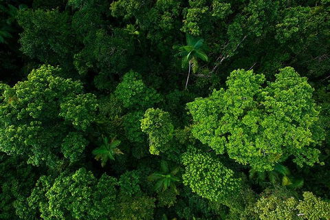 Cairns & Port Douglas All-Inclusive 7 Days Touring Package - Local Tourism 4