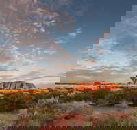 Uluru Kata Tjuta and Kings Canyon Camping Safari from Alice Springs - Local Tourism