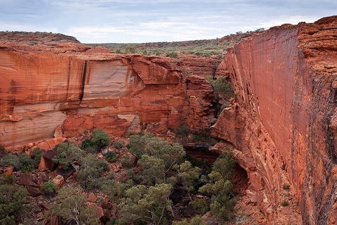 Uluru, Kata Tjuta And Kings Canyon Camping Safari From Ayers Rock - Local Tourism 1