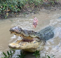 Top End Waterfalls and Wetlands - Local Tourism