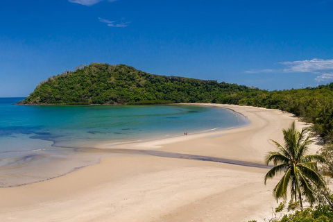 Daintree And Cape Tribulation Tour From Cairns - Accommodation Australia 1