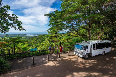Daintree And Cape Tribulation Tour From Cairns - Accommodation Australia 3
