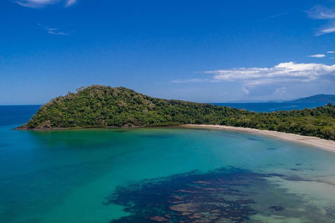 Daintree And Cape Tribulation Tour From Cairns - Accommodation Australia 4