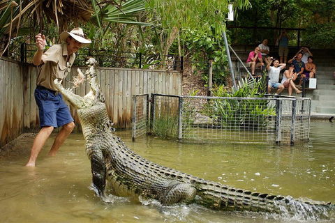 Hartley's Crocodile Adventure Half-Day Tour - Local Tourism 2
