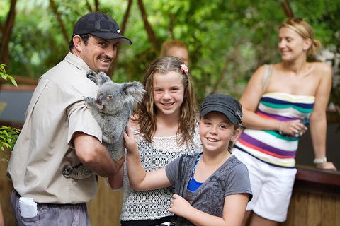 Hartley's Crocodile Adventure Half-Day Tour - Local Tourism 3