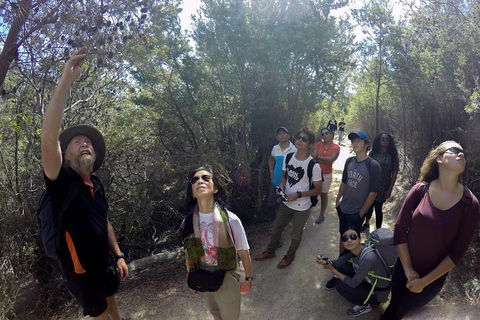 Active Day Tour One-Way From Launceston To Hobart Via Wineglass Bay - Local Tourism 0