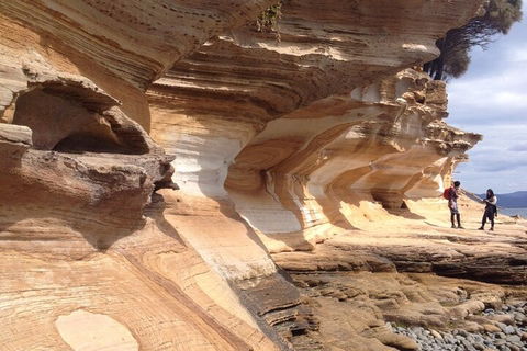 Hobart Minibus Full-Day Private Tour - Accommodation Australia 0