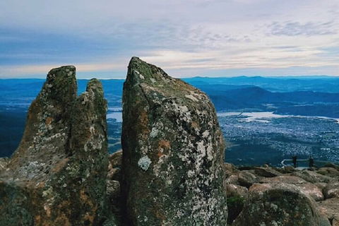Mt Wellington Tour And MONA Admission - Accommodation Australia 2