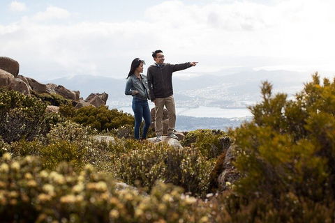 Mt Wellington Tour And MONA Admission - Accommodation Australia 5