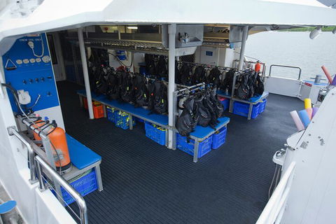 Silverswift Outer Great Barrier Reef Dive And Snorkel Cruise From Cairns - Accommodation Australia 0