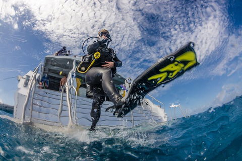 Silverswift Outer Great Barrier Reef Dive And Snorkel Cruise From Cairns - Accommodation Australia 1