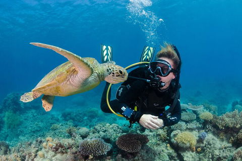 Silverswift Outer Great Barrier Reef Dive And Snorkel Cruise From Cairns - Accommodation Australia 2