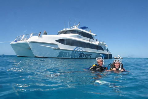 Silverswift Outer Great Barrier Reef Dive And Snorkel Cruise From Cairns - Accommodation Australia 4