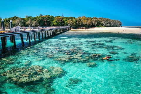 Green Island Discovery Including Glass Bottom Boat Tour Departing Cairns - Local Tourism 4