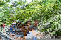 Cape Tribulation Mossman Gorge and Daintree Rainforest Day Trip from Cairns or Port Douglas