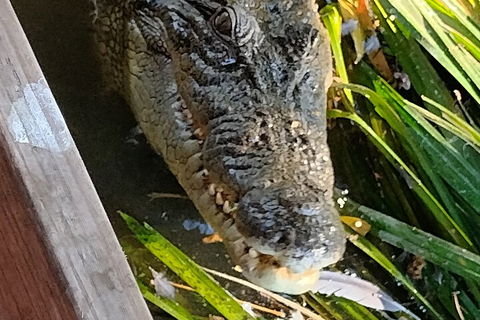 Litchfield Park Adventures And Jumping Crocodile Cruise + Butterfly Farm - Accommodation Australia 1