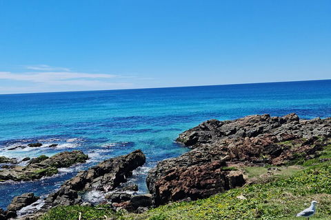 Private Custom Byron Bay Day Out - Local Tourism 4