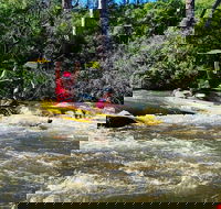 Yarra River Half-Day Rafting Experience - Local Tourism