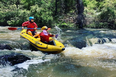 Yarra River Half-Day Rafting Experience - Local Tourism 4
