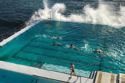 Sydney Private Tour And Sip And Sail Experience - Australia Shopping 3
