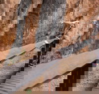 Chillagoe Caves and Outback Day Trip from Cairns - Local Tourism