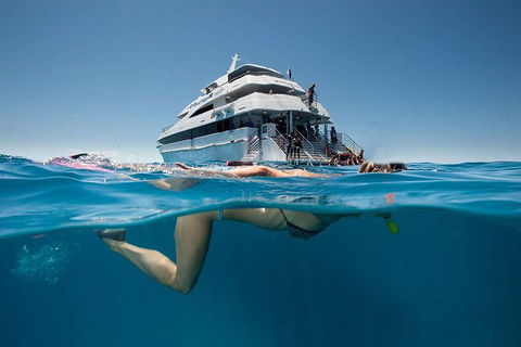 3 Day Great Barrier Reef, Daintree Rainforest And Outback Chillagoe Tour - Accommodation Australia 0
