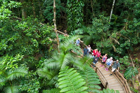 3 Day Great Barrier Reef, Daintree Rainforest And Outback Chillagoe Tour - Accommodation Australia 2