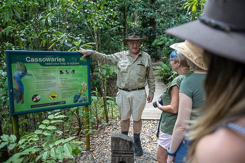 2 Day Daintree Rainforest, Cape Tribulation And Outback Chillagoe Tour - Accommodation Australia 5