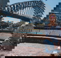 The Rocks  Darling Harbour With A Local Private  Personalized - Local Tourism