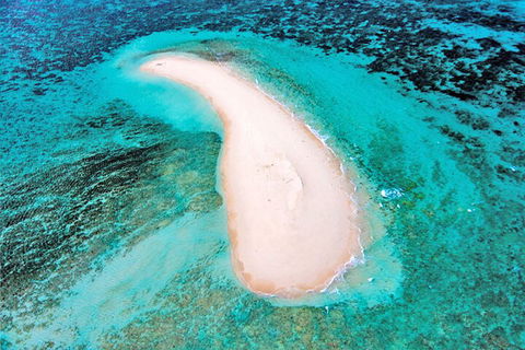Private Coral Cay Bubbles Tour - Local Tourism 3